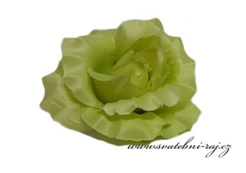 Zobrazit detail - Taftová růže jablíčkově zelená