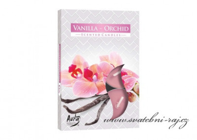 Čajové svíčky - Vanilla-Orchid