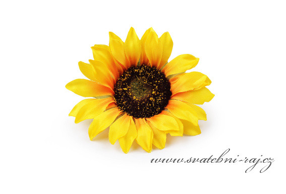 Hlavička slunečnice, průměr 9 cm
