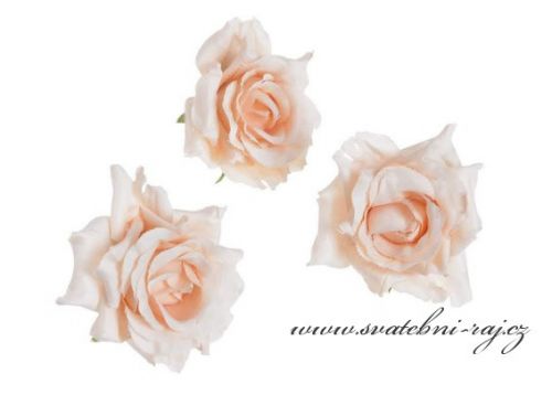Zobrazit detail - Hlavičky růží lososové - 12 ks