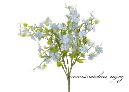 Květina s modrými kvítky
