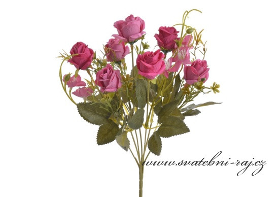 Květina s růžičkami fuchsia