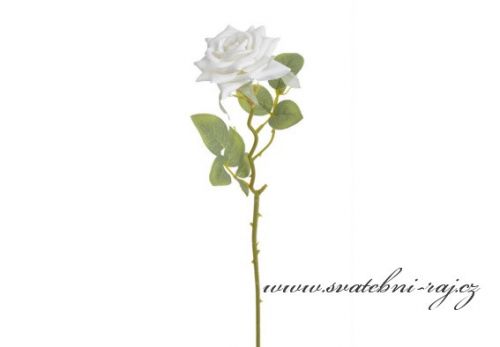 Zobrazit detail - Rozkvetlá růže na stonku bílá