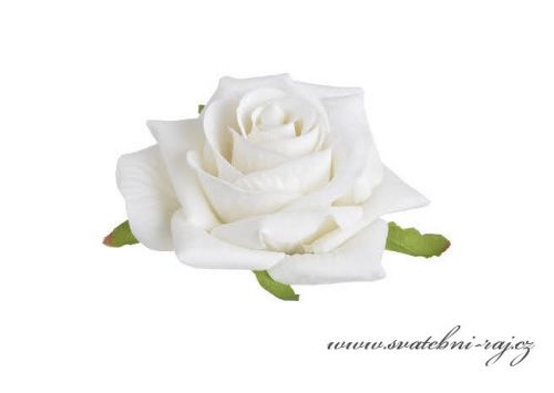 Zobrazit detail - Hlavičky růží bílé - 6 ks