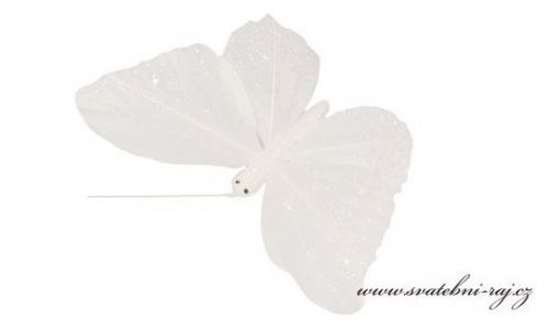 Zobrazit detail - Bílý dekorační motýlek