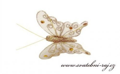 Zobrazit detail - Zlatý motýlek
