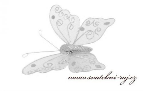 Zobrazit detail - Stříbrný motýl, 8 cm velikost