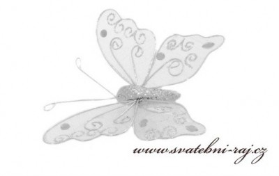 Stříbrný motýl s glitry