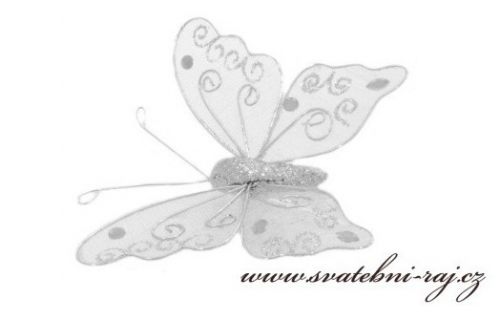 Zobrazit detail - Stříbrný motýl, 12 cm velikost