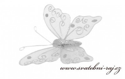 Stříbrný motýlek