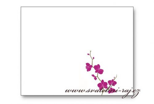 Zobrazit detail - Svatební jmenovka s orchidejkou