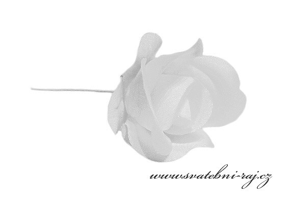 Bílá růžíčka