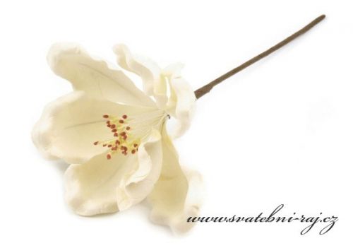 Zobrazit detail - Smetanový květ