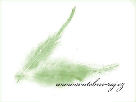 Dekorační peříčka mint-green