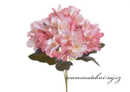 Zobrazit detail - Kytice hortenzie růžová