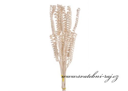 Zobrazit detail - Mini cane spring přírodní - 25 ks