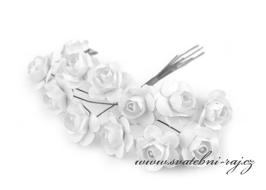 Růžičky na drátku bílé