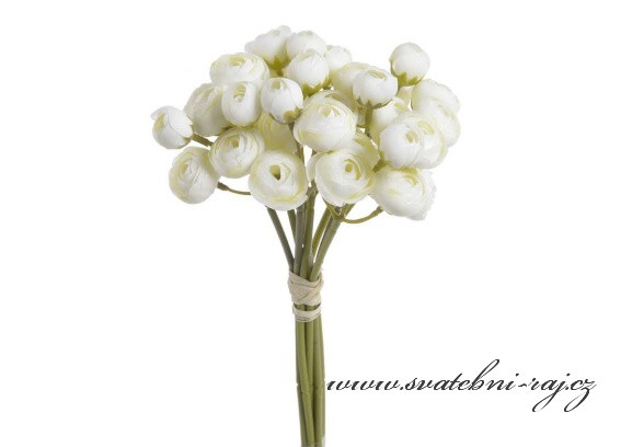Svazek květů ranunculus bílé