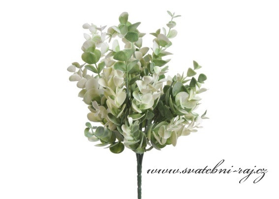 Bílo-zelené listy borůvky k dekoraci
