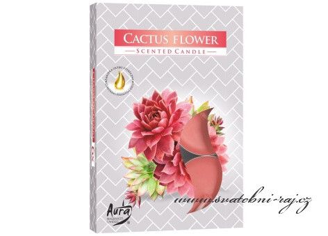 Zobrazit detail - Čajové svíčky voňavé - Cactus flowers