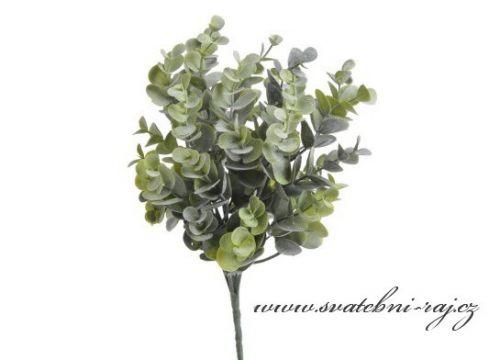Zelené listy borůvky k dekoraci