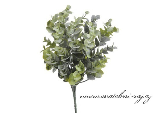 Zelené listy borůvky k dekoraci